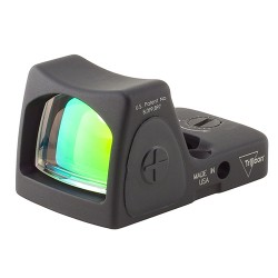 Point rouge bushnell rxs-100 1x25
